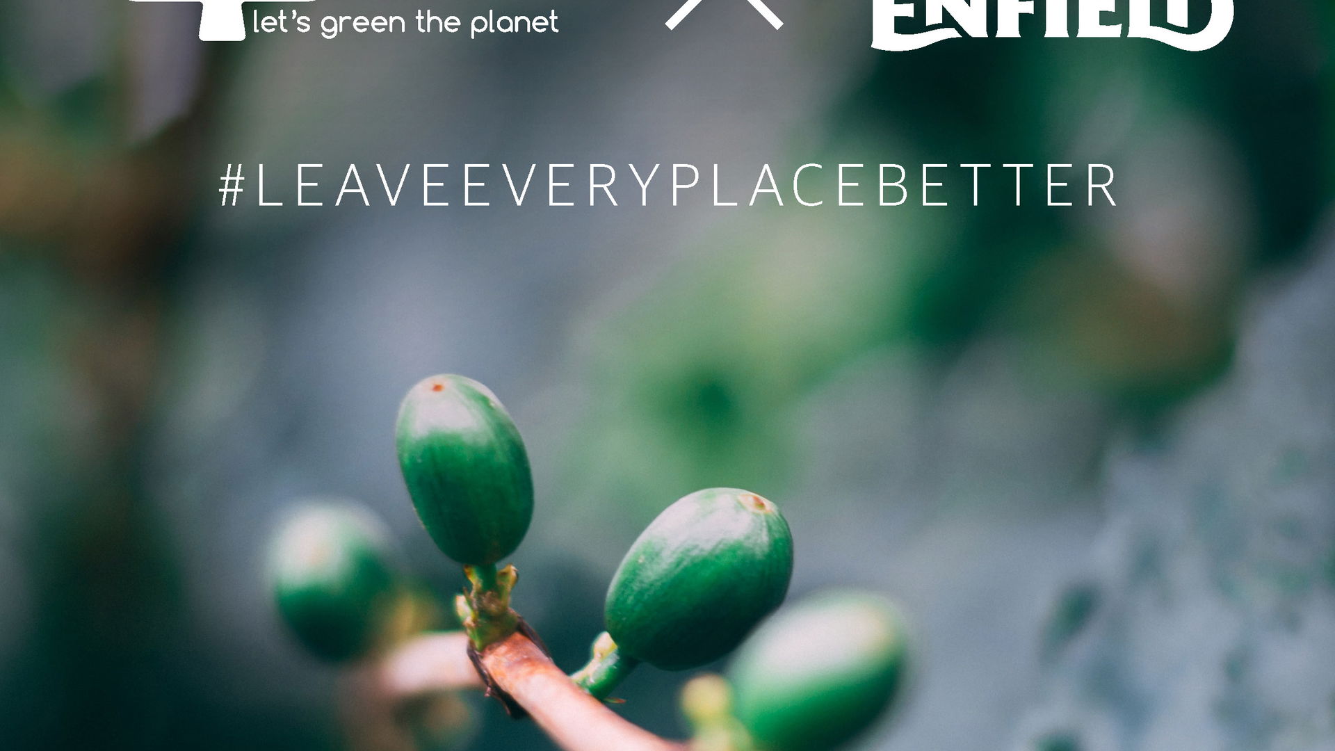 Royal Enfield and Treedom partnership Italy