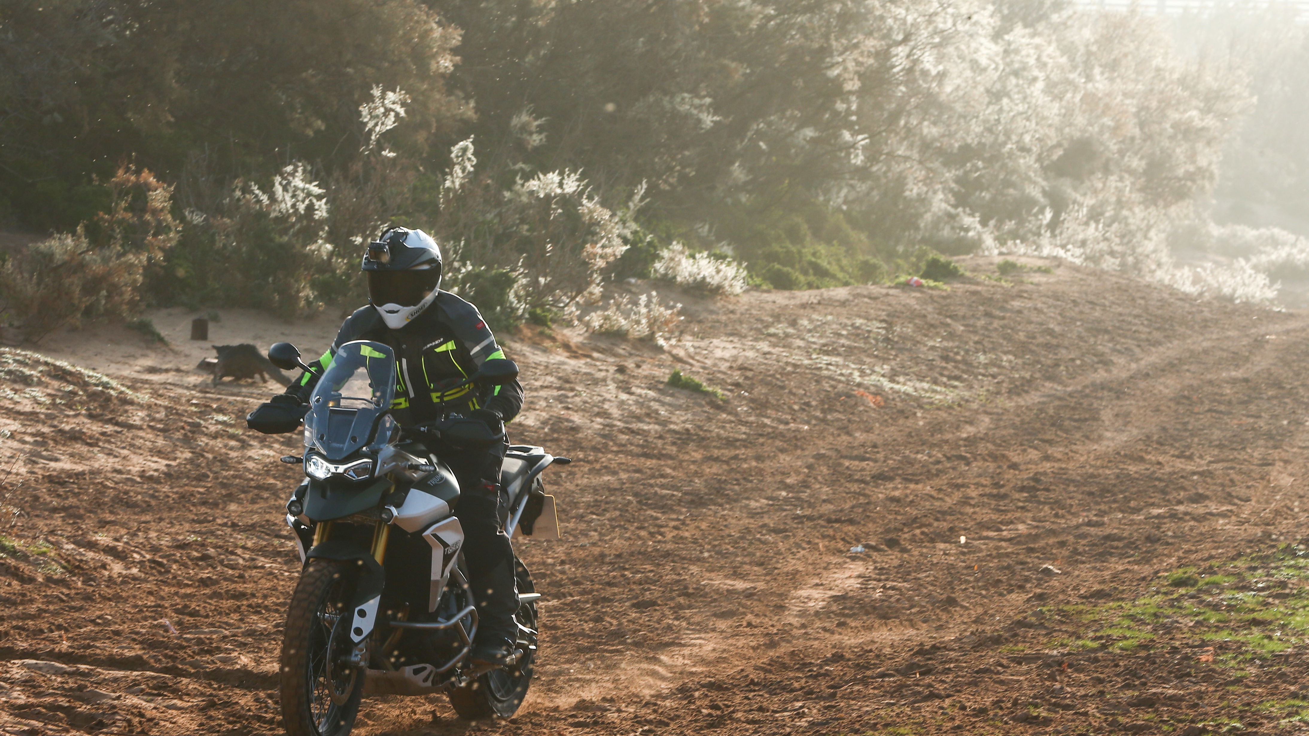 Triumph Tiger 900 Visordown Review