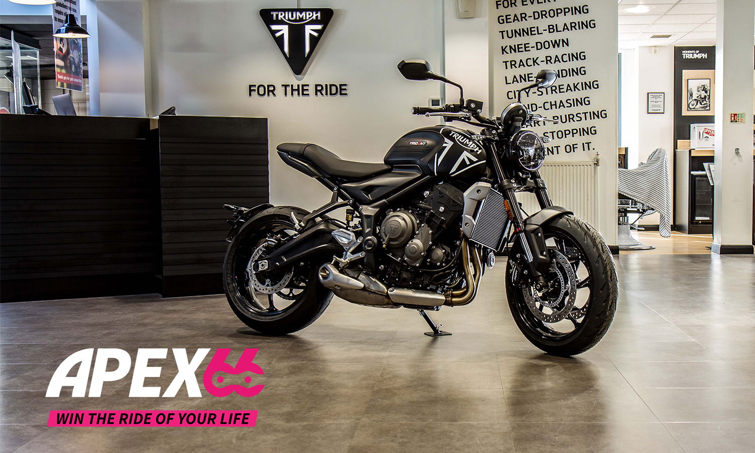 Apex 66 Triumph Trident 660 Dealership