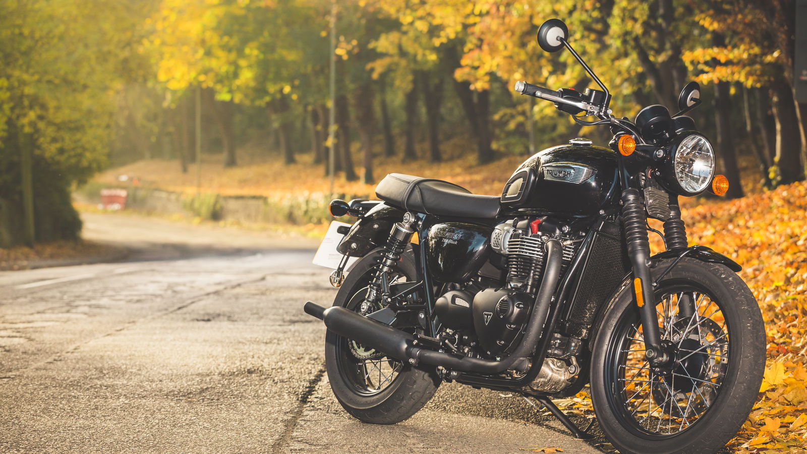 Triumph Bonneville T100 super gallery