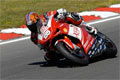 Harley launch XR1200 one-make race series