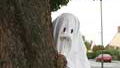 'I crashed because of a ghost'