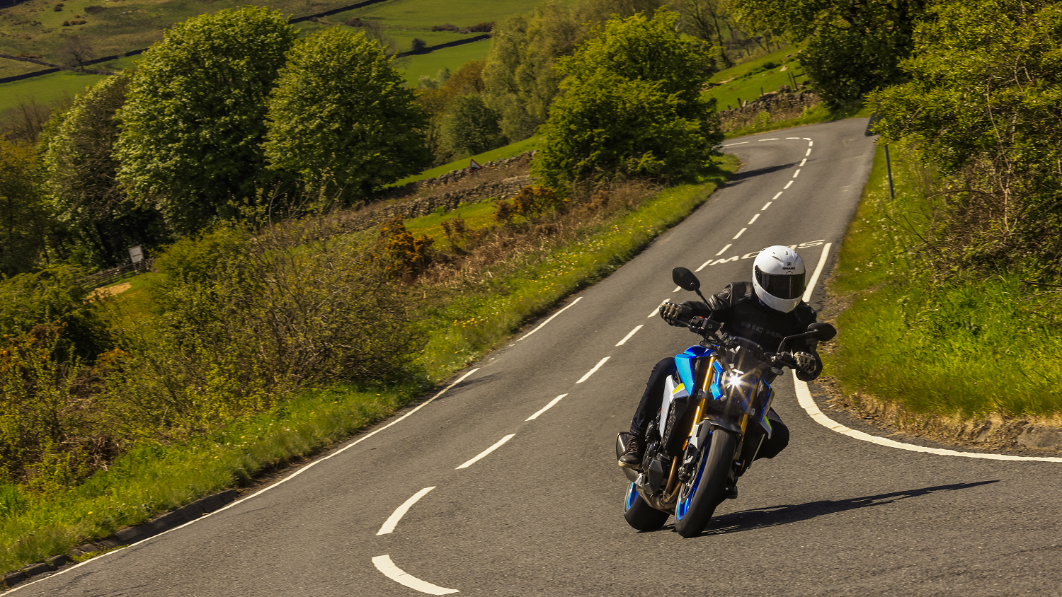 Suzuki GSX-S1000.