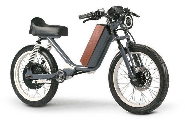 Are these electric bikes or electric cycles?