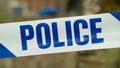 Man admits crossbow shooting