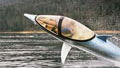Dolphin-inspired jetski makes big splash