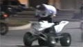 More charges against thieving Florida stunters