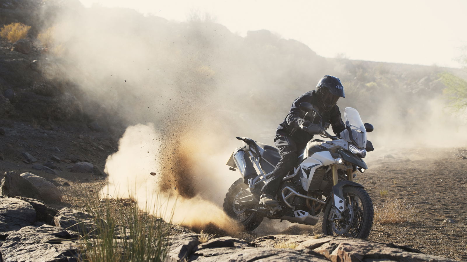 Triumph Tiger 900 spec