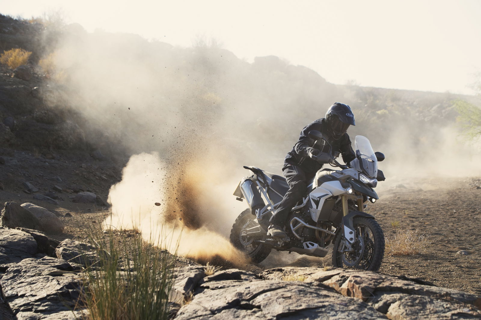 Triumph Tiger 900 spec