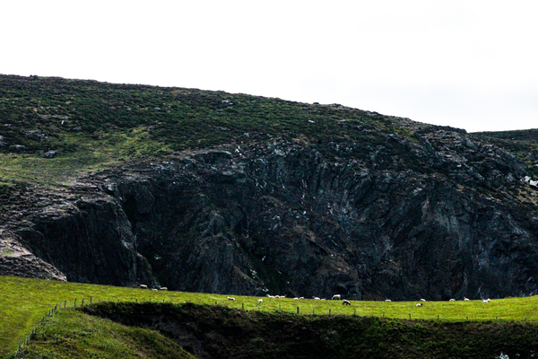 Isle of Man scenery, cliffs, sheep.