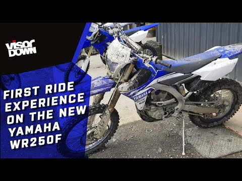 Yamaha WR250F 2019 First Ride