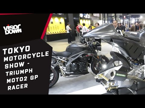 Triumph Moto2 GP Racer | Tokyo Motorcycle Show 2019