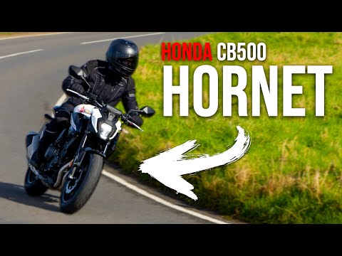 Honda CB500 Hornet Review: Does it Belong in the Hive?
