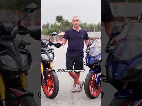 Which cost effective Indian middleweight comes out on top? #tvsapacherr310 #tvsapachertr310