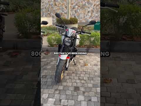 A first look at the all-new Triumph Trident 800 #triumph #biker