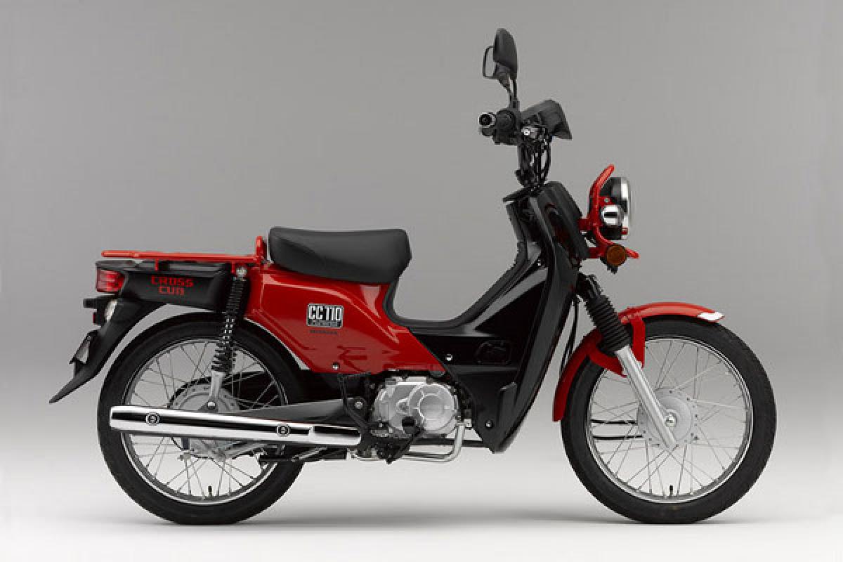 honda cub new model