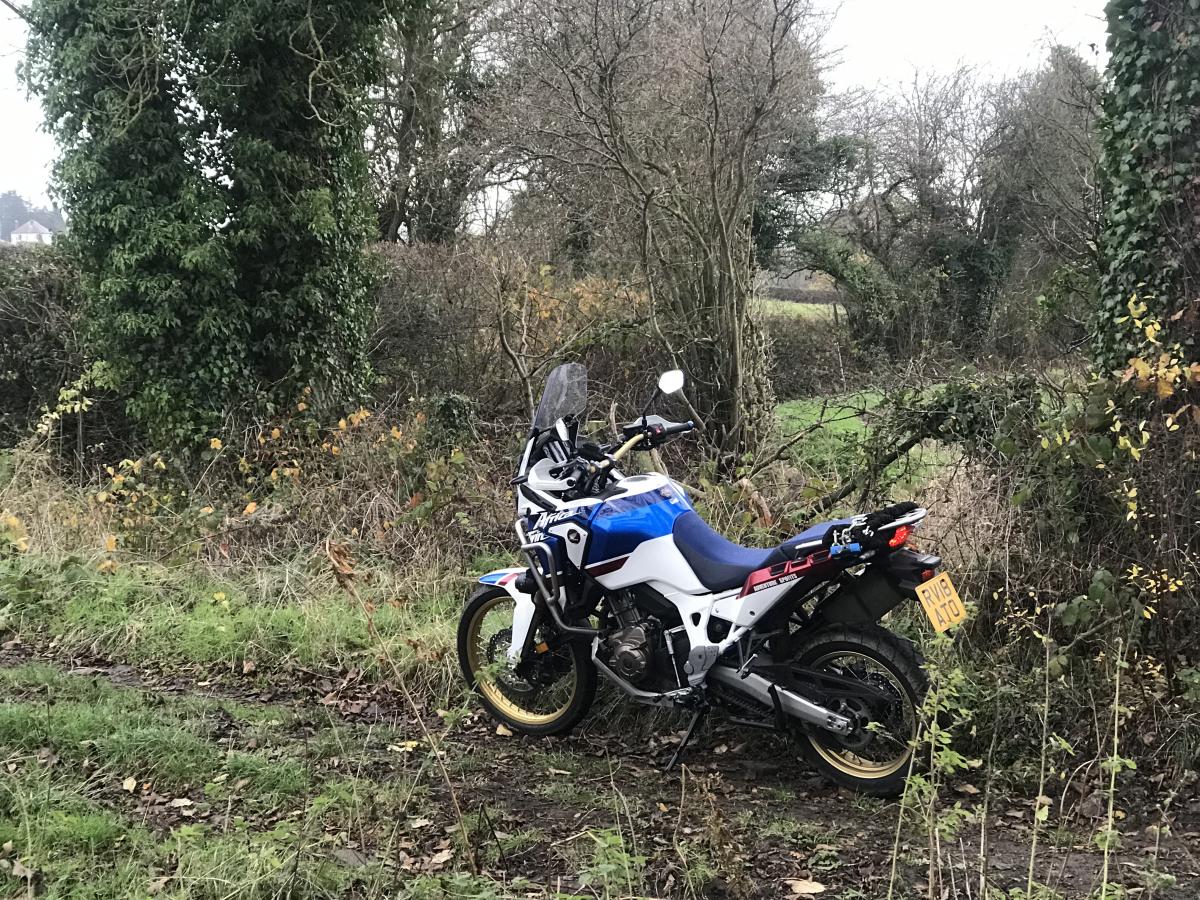 lowered africa twin