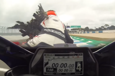 Bird hits biker on track at Philip Island