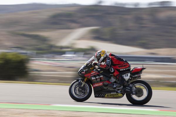 Danilo Petrucci, 2023 Portuguese WorldSBK. - Gold and Goose