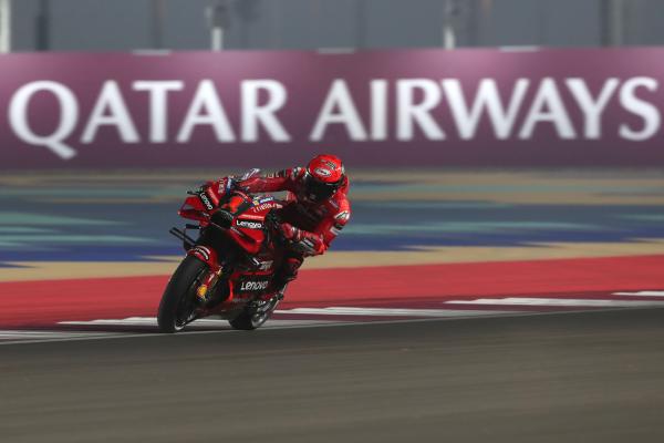 Francesco Bagnaia, 2023 MotoGP Qatar Grand Prix. - Gold and Goose