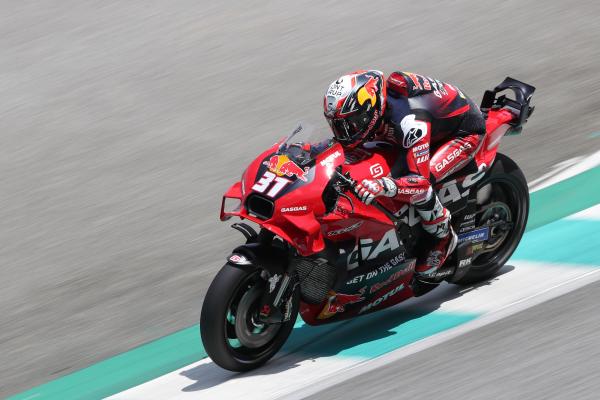 Pedro Acosta, 2024 MotoGP Sepang Shakedown. - Gold and Goose