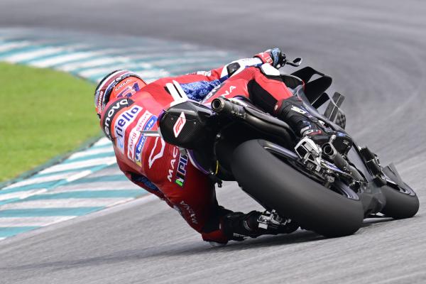 Michele Pirro, 2024 MotoGP Sepang Test. - Gold and Goose