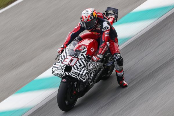 Pedro Acosta, 2024 MotoGP Sepang Test. - Gold and Goose