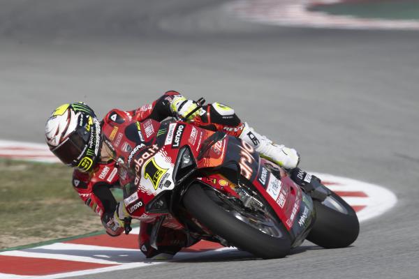 Alvaro Bautista, 2024 Catalan WorldSBK. - Gold and Goose