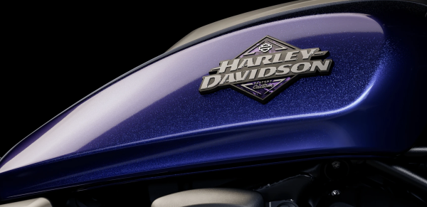 Harley-Davidson Factory Custom Paint & Graphics