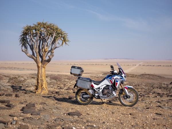 Honda CRF1100L Africa Twin Adventure Sports