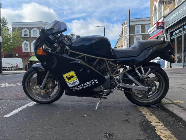 Ducati Supersport 600 - rear