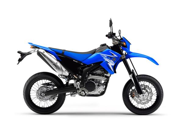 WR 250X review