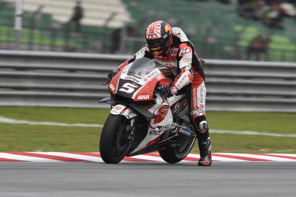 Johann Zarco, 2019 MotoGP Malaysian Grand Prix. - Gold and Goose