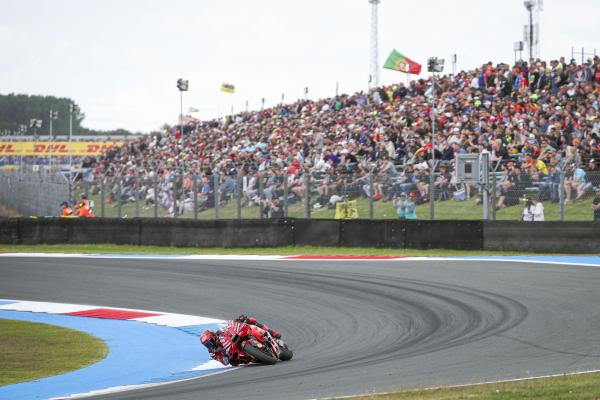 Francesco Bagnaia, 2024 MotoGP Dutch TT. - Gold and Goose