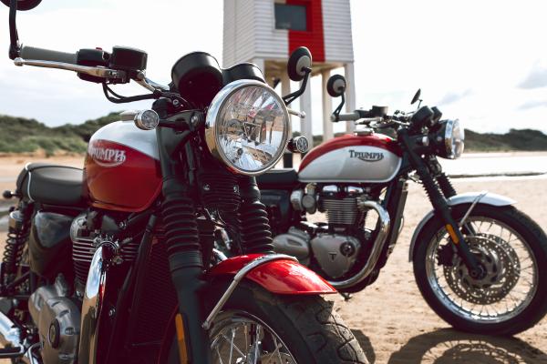 Triumph Bud Ekins t120 SE