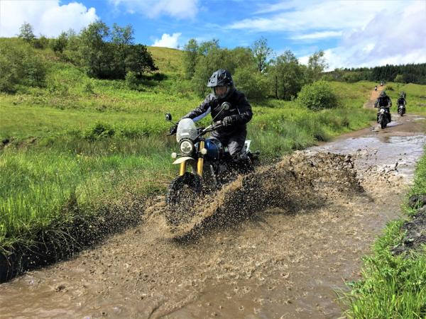 Triumph sunny scrambler