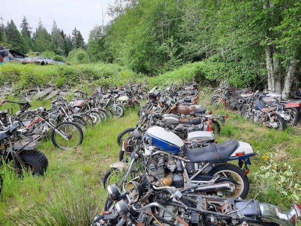 Motorcycle Graveyard