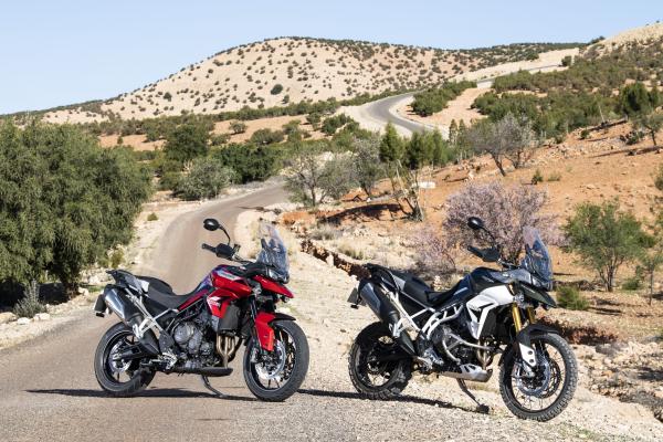Tiger 900 rally and GT