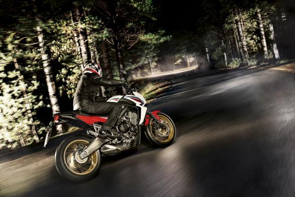 Two new Honda 650s unveiled