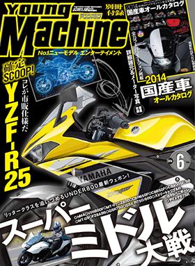 Best image of Yamaha's R25 so far