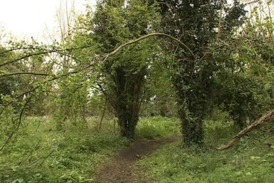 Police appeal after motorcyclist left with serious injuries by rope tied across path at neck height