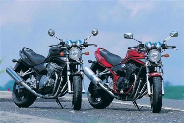 Splitting heirs: Suzuki GSF600 V GSF1200