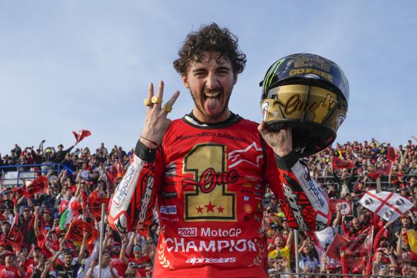 Francesco Bagnaia, 2023 MotoGP Valencia Grand Prix. - Gold and Goose