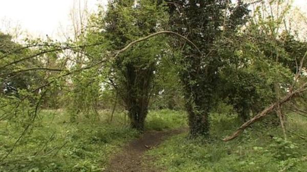 Police appeal after motorcyclist left with serious injuries by rope tied across path at neck height