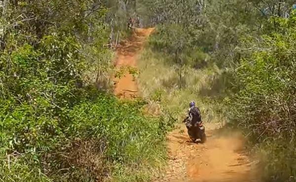 Africa Twin