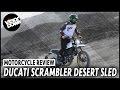 Ducati Scrambler Desert Sled video review