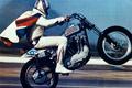 Knievel's Harley stunt bike up for auction