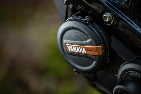 Yamaha PW-XM