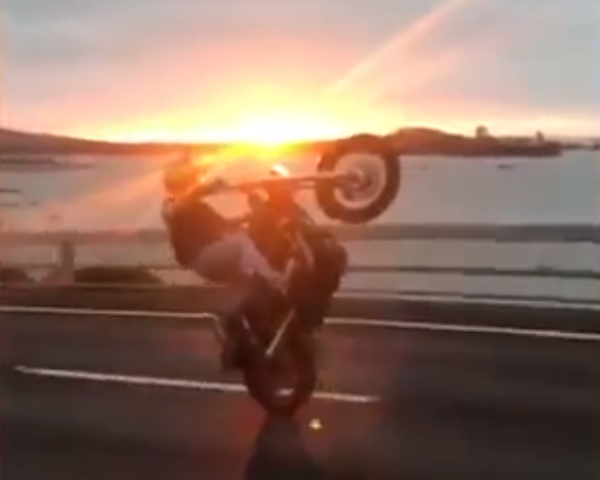  'Record breaking' wheelie on Auckland bridge annoys feds