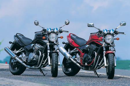 Splitting heirs: Suzuki GSF600 V GSF1200